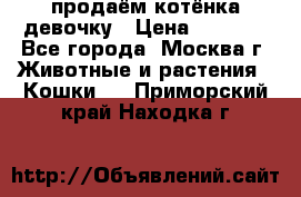 продаём котёнка девочку › Цена ­ 6 500 - Все города, Москва г. Животные и растения » Кошки   . Приморский край,Находка г.